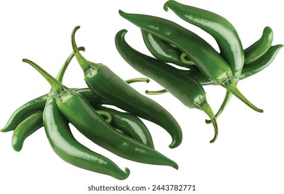 fresh big chilies on white background.