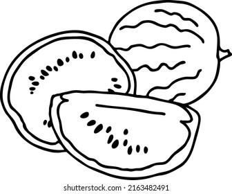 Fresh big green and red watermelon. Sweet fruit for happy summer time and holiday mood. Tasty vegan organic natural dessert snack to eat. Hand drawn illustration. Simple black line vector drawing.