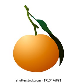 Fresh Big Orange Illustration Vector