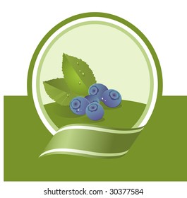 fresh bilberry illustration, vector label