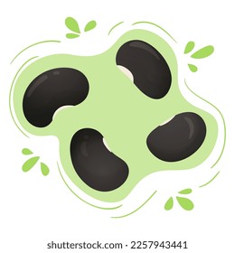 Fresh black beans. Vigna mungo. Cute flat design. Vegetarian protein source. Organic legume for healthy food. Nutrition design. World Pulses Day. Cultivating pulses. 