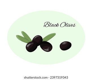 Fresh black olives in cartoon style. Olive branch with leaves and olives. Black olives label or logo. Vector isolated illustration.