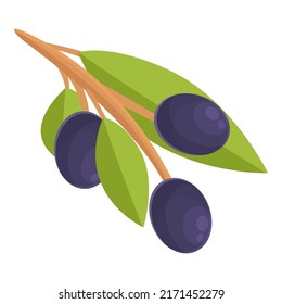 Fresh black olives icon cartoon vector. Olive food. Package condiment