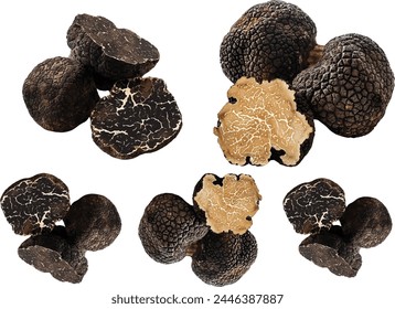 fresh Black truffle on white background