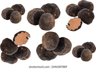 fresh Black truffle on white background