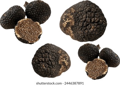 fresh Black truffle on white background