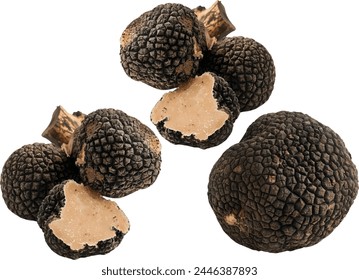 fresh Black truffle on white background