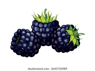 Fresh blackberries in cartoon style. Vector illustration of tasty, juicy blackberries with green stems isolated on white background.
Healthy snack. Summer berries.