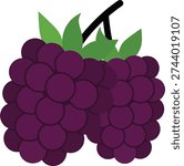 Fresh blackberry fruit cluster vector