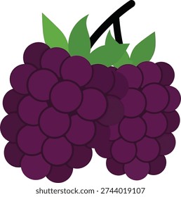 Fresh blackberry fruit cluster vector