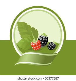  ilustración de blackberry fresca, etiqueta vectorial