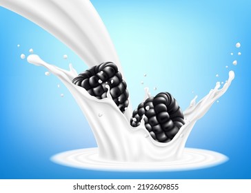 Fresh blackberry in a splash of milk or yogurt. Fresh berry falls into the milk. 3d realistic vector illustration, isolated on blue background. Sweet food. Organic fruit.