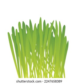 fresh blades of spring green grass, oat- vector illustration