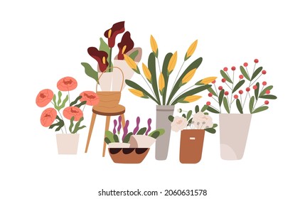 Fresh blossomed flowers, spring floral plants in buckets, vases and pots. Blooming flora composition with cut tulips and peonies in flowershop. Flat vector illustration isolated on white background