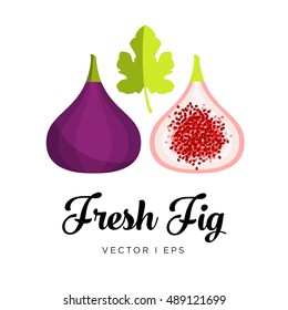 Fresh blue fig, seeds and leaf vector editable illustration. Ripe dark purple  fig sliced, simple flat style.
