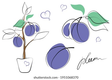 Fresh Blue Plum With Leaves, Plum Tree In Pot On White Background. Outline Doodle, Cartoon Flat Style. Sketch. Abstract Vector Illustration.