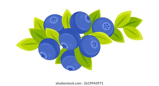 Fresh blueberries growing on a branch with green leaves