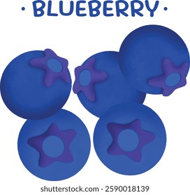 Fresh Blueberries on White Background Blueberry Still Life