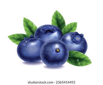 Fresh blueberries with water drops and green leaves on white background realistic vector illustration