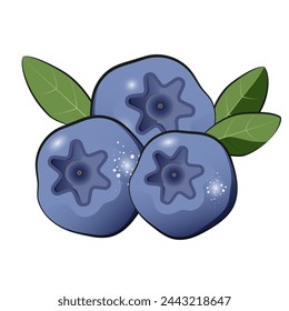 Frische Heidelbeere mit grünem Blatt. Vektor Beeren isoliert auf einem weißen Hintergrund.