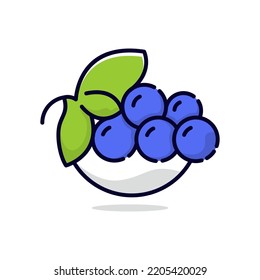 fresh blueberry illustration cartoon design