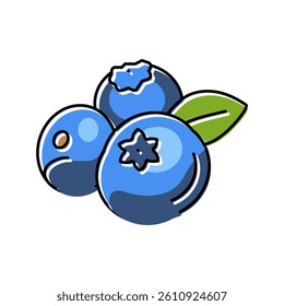 fresh blueberry leaf color icon vector. fresh blueberry leaf sign. isolated symbol illustration