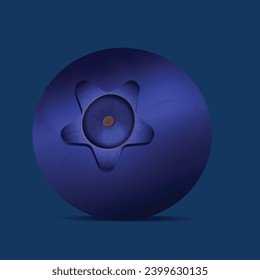 Frische Blaubeeren-realistische Kompositionen einzeln auf Vektorgrafik