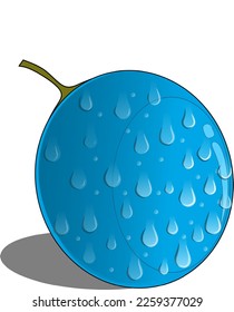 Fresh blueberry style simple vector design