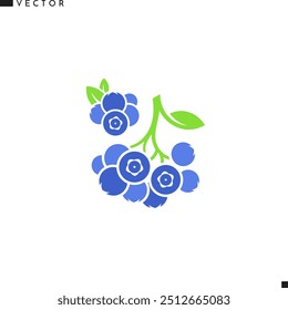 Fresh blueberry vector. Isolated blueberries with leaves on white background. Natural berries icon. Organic fruit sign