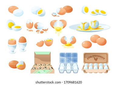 Fresh and boiled eggs. Broken eggs with cracked eggshell, in cardboard box, egg half with yolk, boiled and fried, form for food. Cooking ingredient. Organic farm product. Vector illustration.