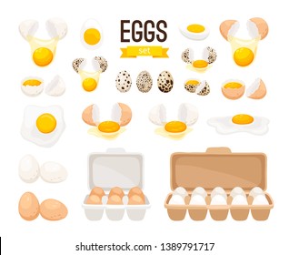 Fresh and boiled eggs. Cartoon broken eggs with cracked eggshell, in cardboard box and egg half with yolk vector illustration