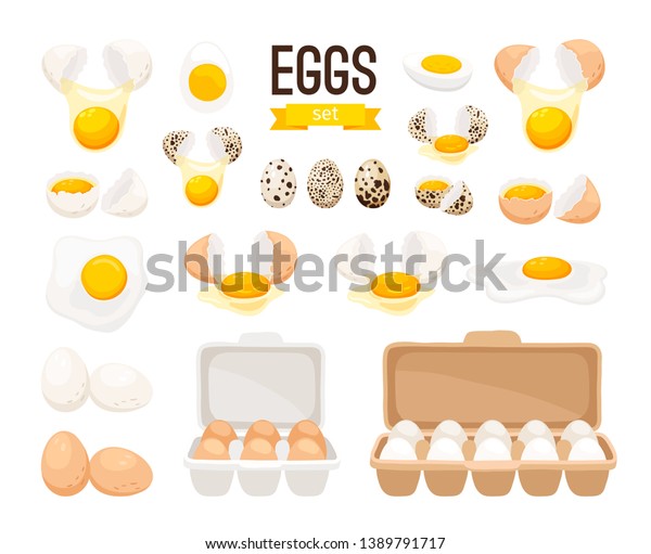 生卵とゆで卵 卵の殻を割った漫画の割卵 厚紙箱に卵 卵黄ベクターイラスト のベクター画像素材 ロイヤリティフリー