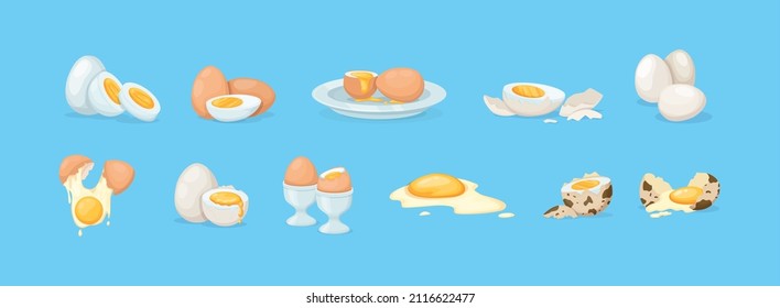 Fresh and boiled eggs. Chicken broken eggs with cracked eggshell and yolks, in cardboard box, egg half with yolk, boiled and fried. Cooking ingredient. Healthy organic food farm product vector