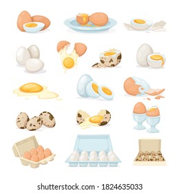 Fresh and boiled eggs. Chicken, quail broken eggs with cracked eggshell and yolks, in cardboard box, egg half with yolk, boiled and fried. Cooking ingredient. Healthy organic food farm product vector