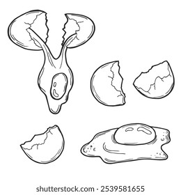 Fresh, boiled and fried eggs, outline icons. Simple broken chicken and quail eggs with cracked eggshell, drawn boiled eggs half and slices vector illustration.