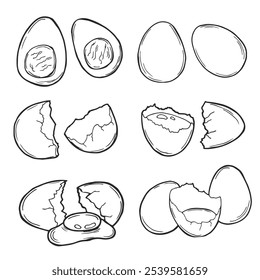 Fresh, boiled and fried eggs, outline icons. Simple broken chicken and quail eggs with cracked eggshell, drawn boiled eggs half and slices vector illustration.