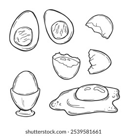 Fresh, boiled and fried eggs, outline icons. Simple broken chicken and quail eggs with cracked eggshell, drawn boiled eggs half and slices vector illustration.