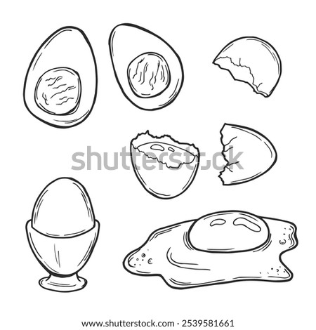 Fresh, boiled and fried eggs, outline icons. Simple broken chicken and quail eggs with cracked eggshell, drawn boiled eggs half and slices vector illustration.