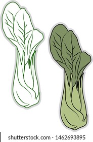 Fresh bok choy, illustration, vector on white background.