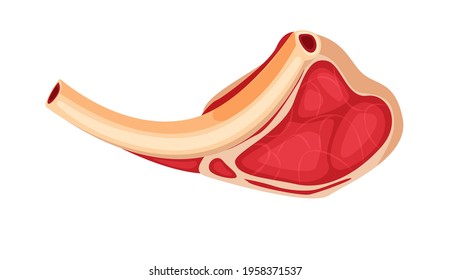 Fresh bone steak raw meat isolated on white background