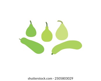 Fresh Bottle Gourd Illustration. Organic, Vitamin-Rich Lauki or Long Melon. Vibrant Light Green Calabash for Vegetarian Dishes. Squash Vegetable Artwork for Healthy Culinary Uses. Farm Fresh Harvest.