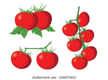 Fresh branches tomato with green leaf in cartoon style. Vector cluster tomato isolated on a white background.