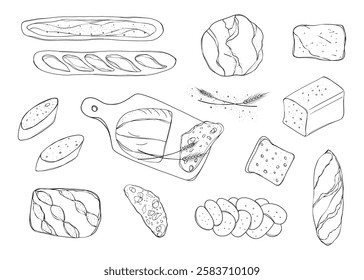 Fresh bread.Set of bread and bakery products. Baguette, toast, ciabatta. Sketch or doodle illustration. Objects without colour. Vector. Hand drawing