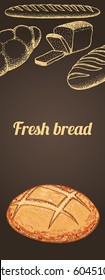 Fresh bread banner. Hand drawn vector illustration.