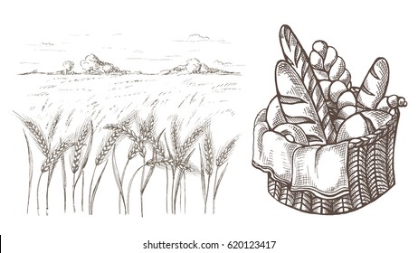 Fresh Bread Basket and Ears of wheat in graphic style