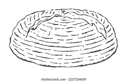 Frische Brotgrafik. Handgezeichnete Vektorgrafik.