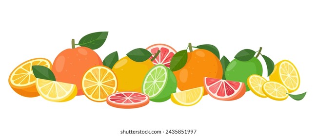 Fresh bright Citrus fruits. Juicy whole and cut oranges, lemons, grapefruits and limes, slices and leaves. Organic fruits for lemonade juice or vitamin C food. Vector illustration.
