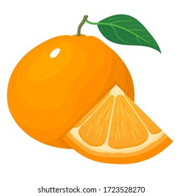 Fresh bright composition of exotic whole and cut slice tangerine or mandarin isolated on white background. Summer fruits for healthy lifestyle. Organic fruit. Vector illustration for any design.