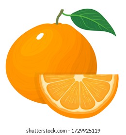 Frische, helle Zusammensetzung aus exotischem Ganzes und geschnittene Scheiben Tangerine oder Mandarin isoliert auf weißem Hintergrund. Sommerfrüchte für gesunden Lebensstil. Bio-Früchte. Vector Illustration für jede Konstruktion.