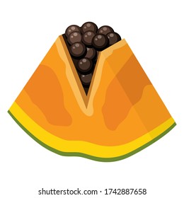 Fresh bright exotic cut slice papaya fruit isolated on white background. Summer fruits for healthy lifestyle. Organic fruit. Cartoon style. Vector illustration for any design.
